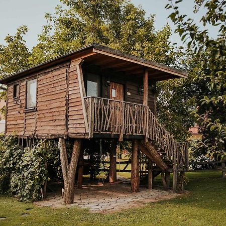 Treehouse Drevesna Hiska Strkovo Gnezdo Ranc Jures Ξενοδοχείο Ljutomer Εξωτερικό φωτογραφία
