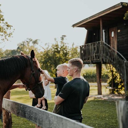 Treehouse Drevesna Hiska Strkovo Gnezdo Ranc Jures Ξενοδοχείο Ljutomer Εξωτερικό φωτογραφία