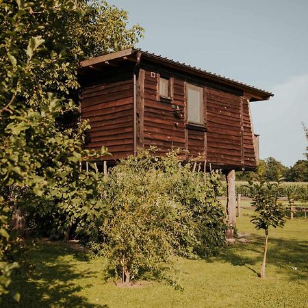 Treehouse Drevesna Hiska Strkovo Gnezdo Ranc Jures Ξενοδοχείο Ljutomer Εξωτερικό φωτογραφία