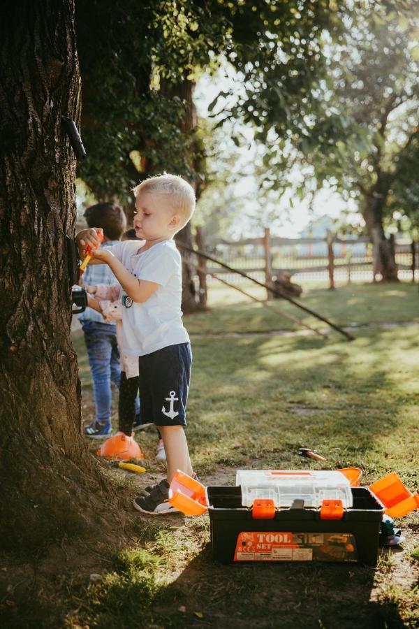 Treehouse Drevesna Hiska Strkovo Gnezdo Ranc Jures Ξενοδοχείο Ljutomer Εξωτερικό φωτογραφία