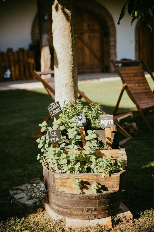Treehouse Drevesna Hiska Strkovo Gnezdo Ranc Jures Ξενοδοχείο Ljutomer Εξωτερικό φωτογραφία