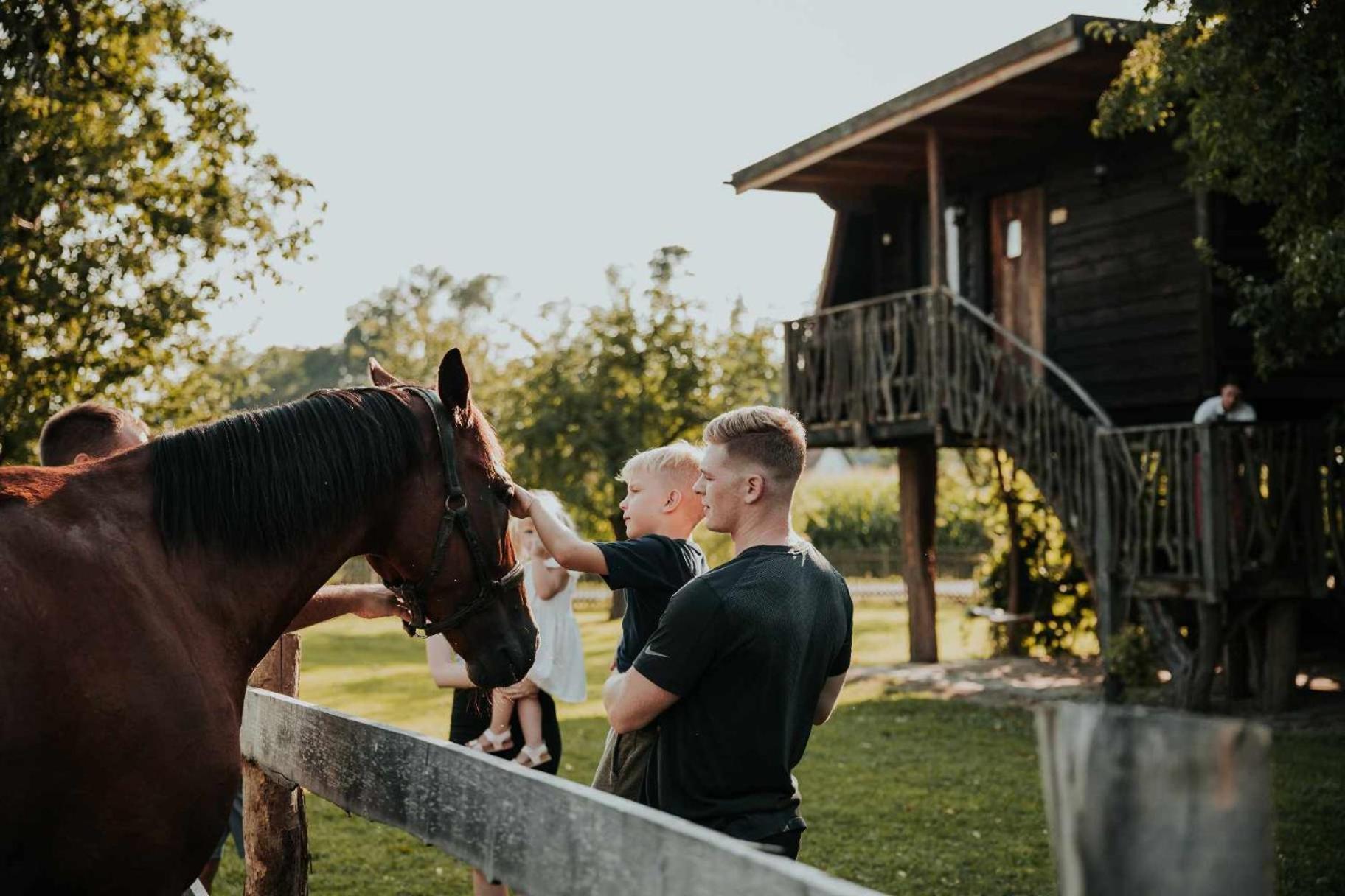 Treehouse Drevesna Hiska Strkovo Gnezdo Ranc Jures Ξενοδοχείο Ljutomer Εξωτερικό φωτογραφία