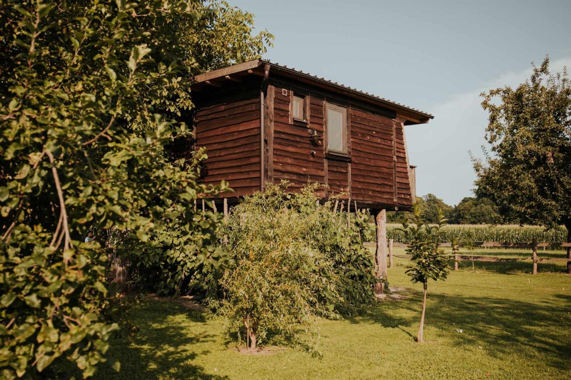 Treehouse Drevesna Hiska Strkovo Gnezdo Ranc Jures Ξενοδοχείο Ljutomer Εξωτερικό φωτογραφία