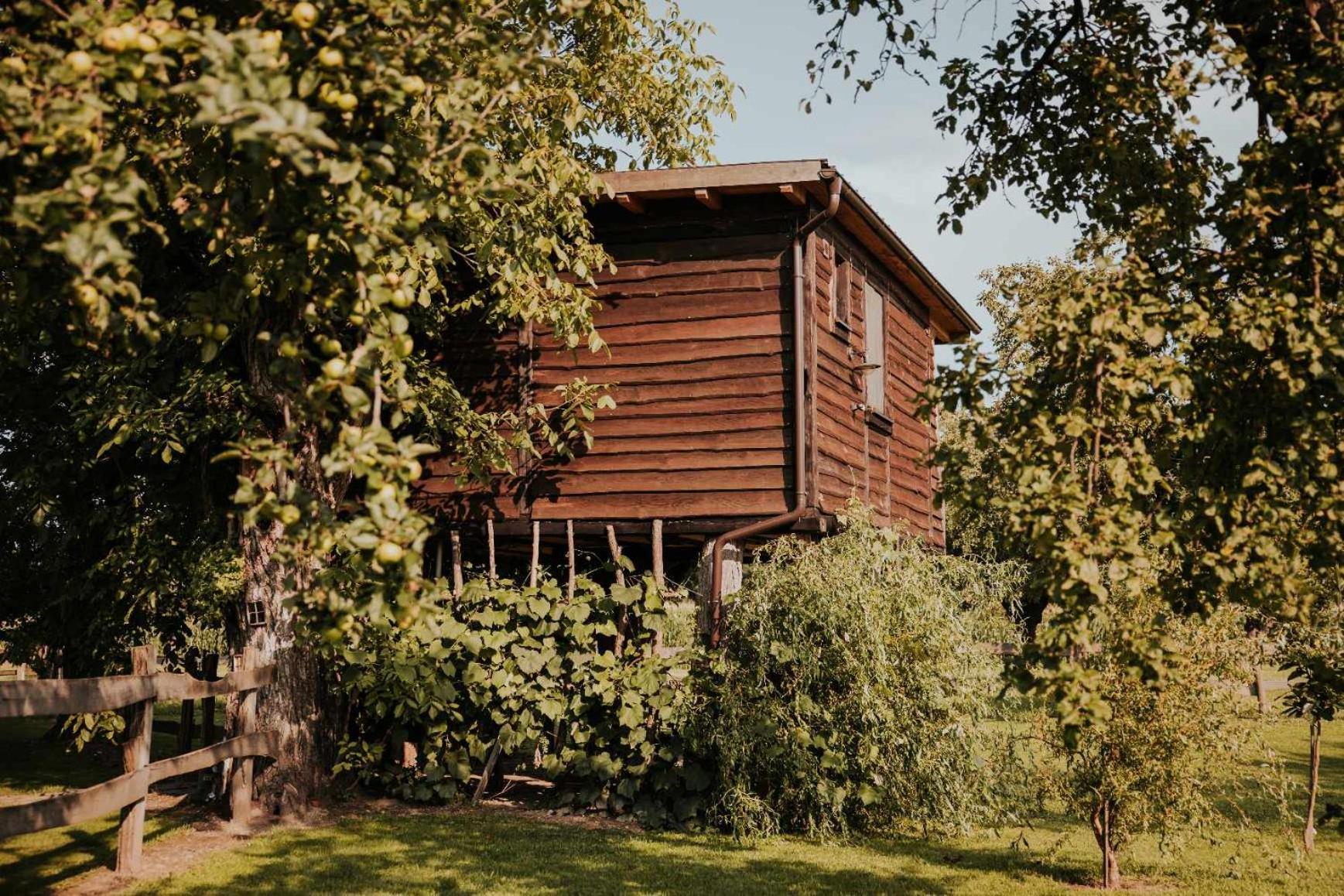 Treehouse Drevesna Hiska Strkovo Gnezdo Ranc Jures Ξενοδοχείο Ljutomer Εξωτερικό φωτογραφία
